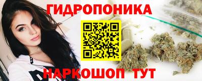 прущие крисы Краснокаменск