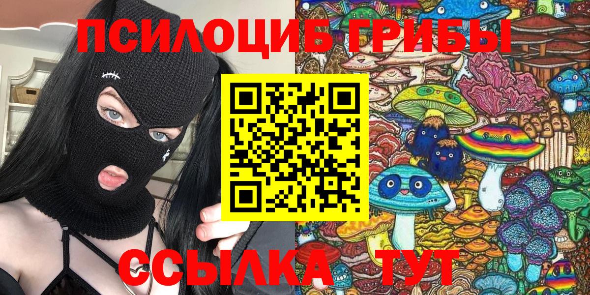 где купить наркотик  Псилоцибиновые грибы Psilocybine cubensis  Вход с VPN  Егорьевск 